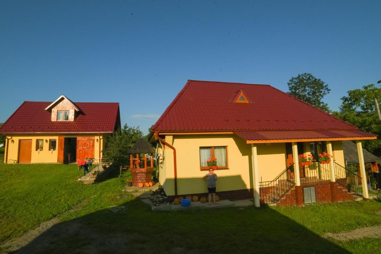 Pensiunea Agroturistica Casa Pribegilor Breb 외부 사진