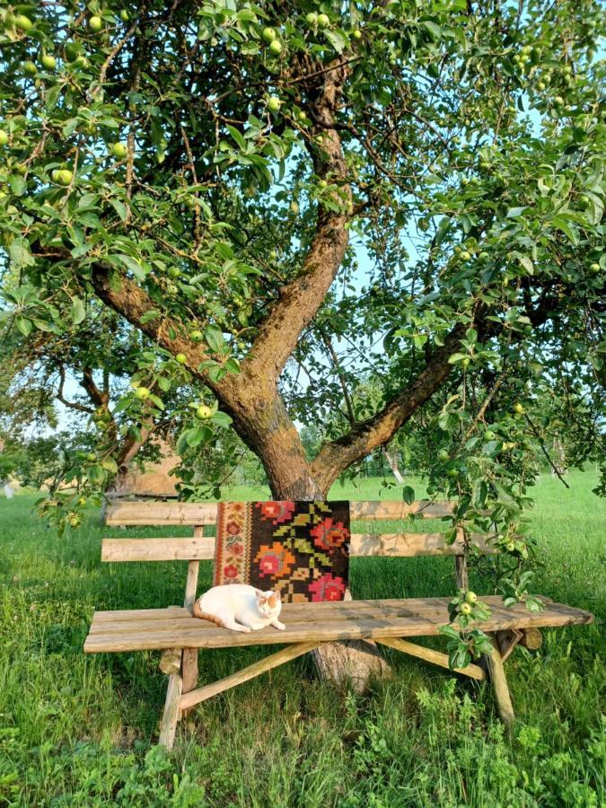 Pensiunea Agroturistica Casa Pribegilor Breb 외부 사진