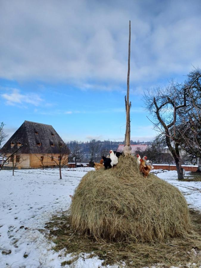 Pensiunea Agroturistica Casa Pribegilor Breb 외부 사진