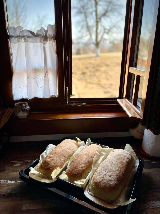 Pensiunea Agroturistica Casa Pribegilor Breb 외부 사진